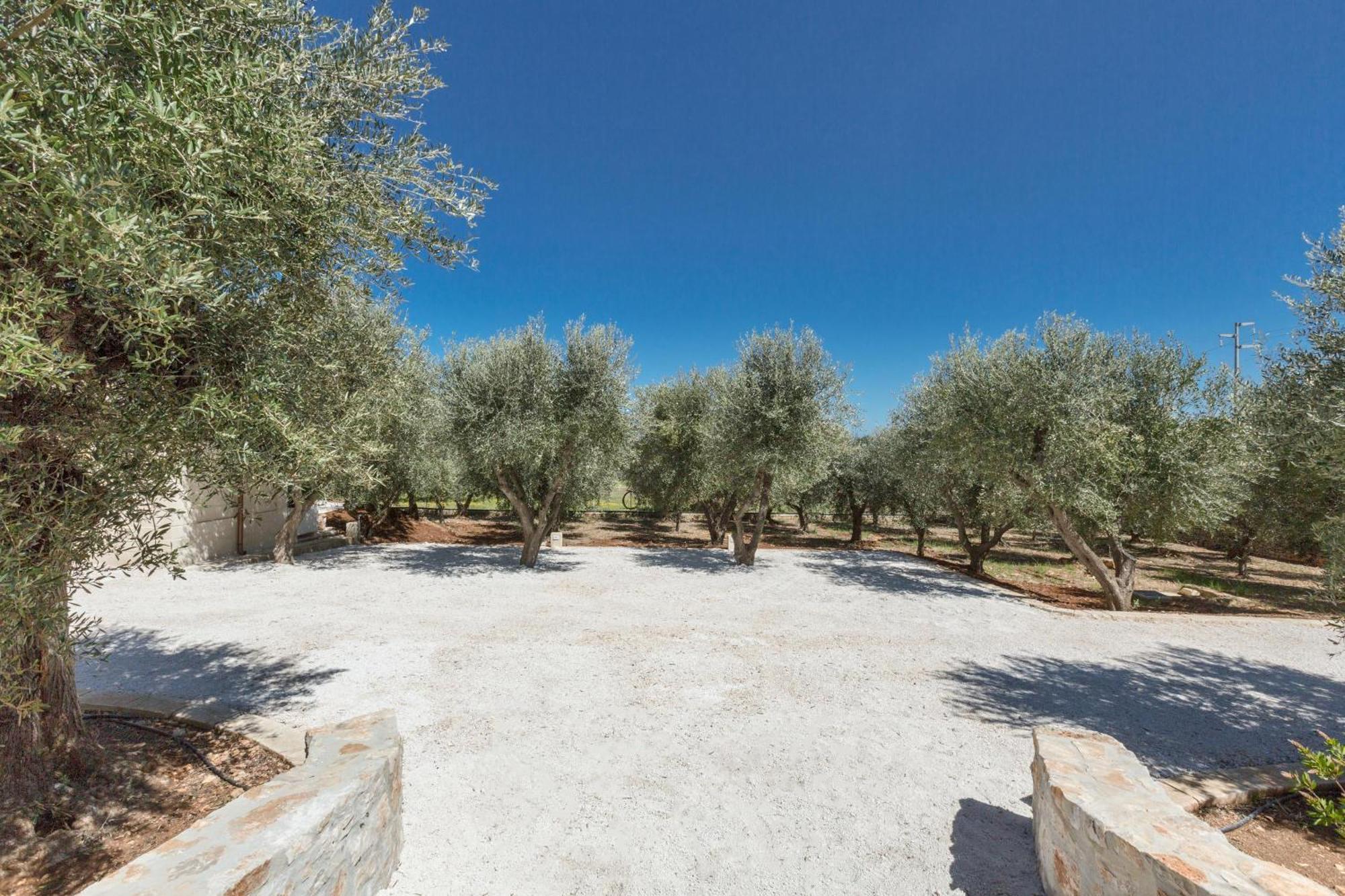 Trulli Ulivo Di Puglia By Barbarhouse Villa Selva Di Fasano Luaran gambar